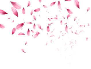 Pink sakura falling petals background. Vector illustration - obrazy, fototapety, plakaty