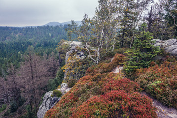 Autumnal colours of Mount Naroznik in Table Mountains, Sudetes in Poland