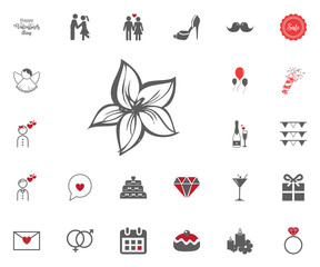 Flower icon. Manolia. Lilium. Valentines Day vector illustraticons set.