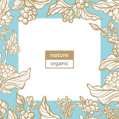 Vector template with coffee branch