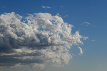 Fototapeta na wymiar 青空と雲「雲の風景」混沌、複雑、入り組んだ、ごちゃごちゃ、かき混ぜるなどのイメージ