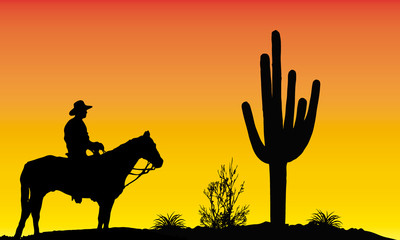 Vaquero en el desierto