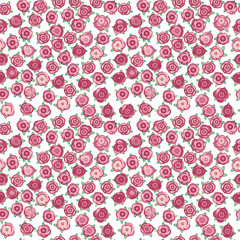 Vector seamless cute roses flowers  pattern  isolated.