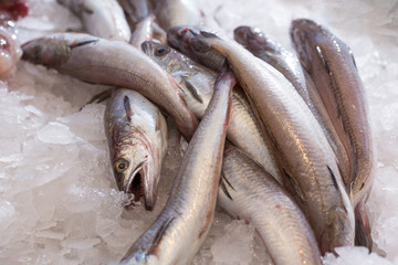 fish for frying on ice