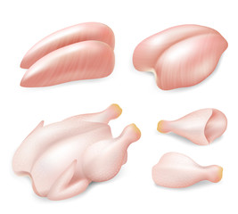 Raw fresh chicken parts for cooking set, vector realistic illustration