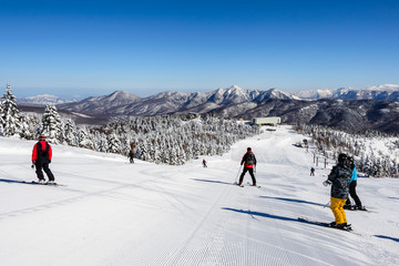 Panorama of ski resort, slope, skiers among white snow pine trees, Shiga Kogen, Japan