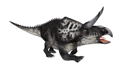 3D Rendering Dinosaur Zuniceratops on White