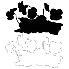  isolated silhouette plant