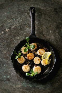 Fried scallops with butter lemon spicy sauce in cast-iron pan served with green salad over old dark metal background. Top view, space