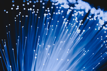 detail of blue growing bunch of optical fibers background, fast light signal for high speed...