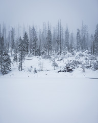 Winterlandschaft im Harz