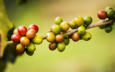 Café de Colombia.