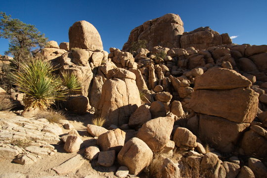 Landscape in Hidden Valley in Joshua Tree National Park in California in the USA

