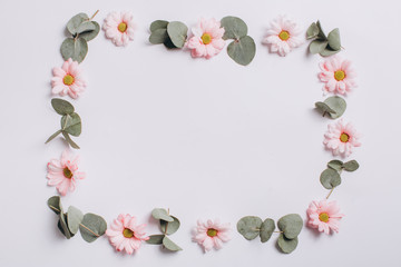 Flat lay and minimal composition with chamomile and eucalyptus on a white background.