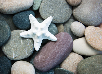 Fototapeta na wymiar Sea pebble stones and starfish