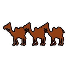 manger camels characters icon vector illustration design
