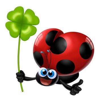 coccinella