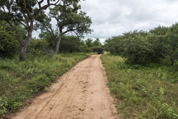 safaricar in kruger national park