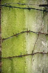 Stacheldraht