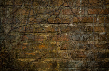 brick wall ,Old wall background.