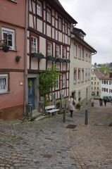 Bad Wimpfen バートヴィンプフェンの風景