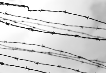 background of barbed wires with black and white effect