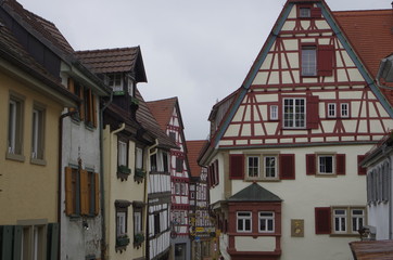 Fototapeta premium Bad Wimpfen バートヴィンプフェンの風景