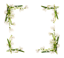 Frame of beautiful white snowdrops Galanthus nivalis on a white background with space for text. Top view, flat lay