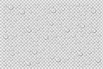 Vector realistic isolated water droplets for decoration and covering on the transparent background.
