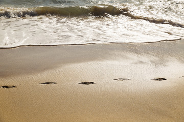 path of footprints in the sand on the shore of a beach
