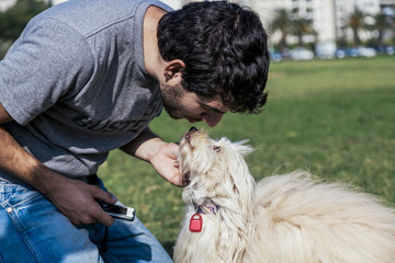 Toy Poodle Dog Affection with Owner