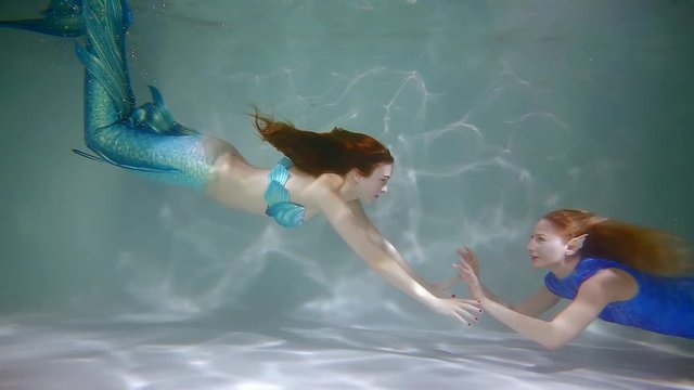 Lovely mermaids meet each other.