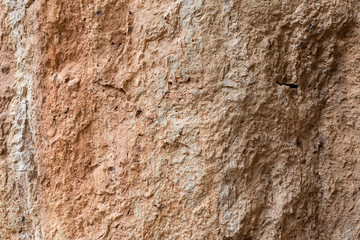 Graphic texture stone