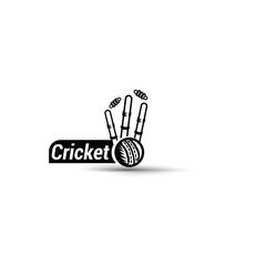Vector cricket championship wicket - obrazy, fototapety, plakaty