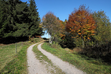 Lovely hiking path called 