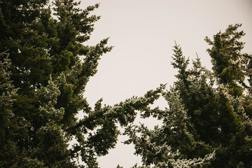 Sur glaciar montaña