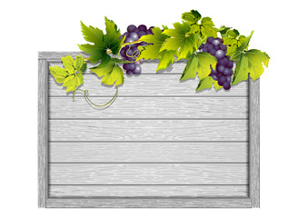 frame wooden white board and grapevine