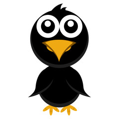 Cute bird character cartoon