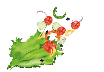 fresh vegetables ingredients,vector illustration