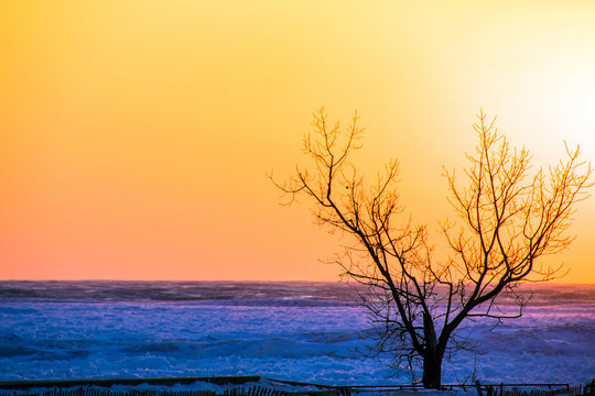 silhouette of winter tree on beach with fence and partially frozen Lake Michigan with glowing sunset sky