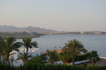 Beautiful shots in the red sea