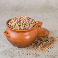 Clay pot with hot buckwheat porridge and a small wooden scoop with raw buckwheat on a gray background. Traditional Russian cuisine. The concept of a healthy diet.