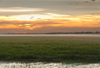 Dawn mist in the Australian Outback (Darwin, Northern Territory)