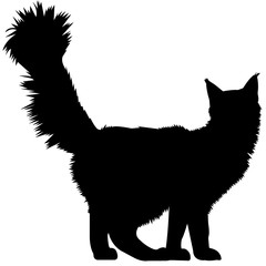 Maine Coon Cat Silhouette Vector Graphics - obrazy, fototapety, plakaty