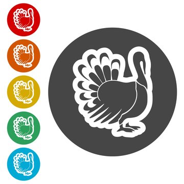Turkey silhouette icon 