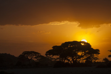 Fototapeta na wymiar Tanzania sunset landscape