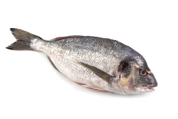 Fresh raw fish isolated on white background, with a clipping path top view.