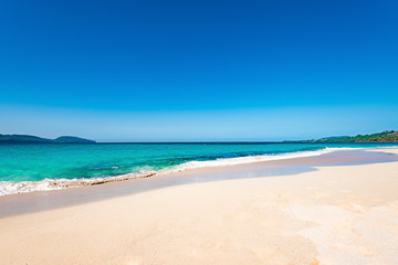 Fototapeta na wymiar paradise beach beautiful white sand with palm tree in the resort of caribbean