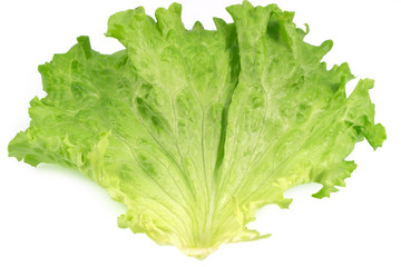 Fresh salad leaf, lettuce leaf isolated on white background, with clipping path
