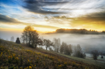 Fototapeta na wymiar foggy morning. a picturesque autumn dawn in the Carpathian Mountains
